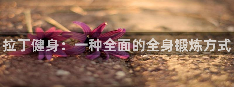 龙8国际唯一官网官方版