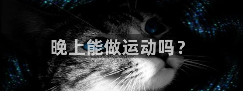 龙8国际老虎机官网